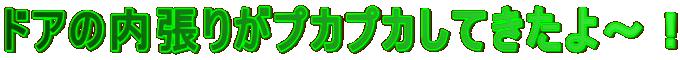 ŁAU[\邾ł͖ʔ܂I