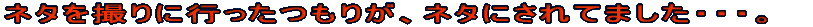 l^Bɍs肪Al^ɂĂ܂܂EEEB